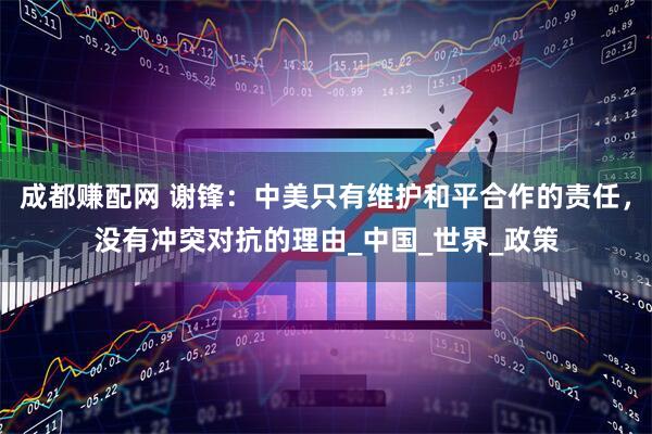 成都赚配网 谢锋：中美只有维护和平合作的责任，没有冲突对抗的理由_中国_世界_政策
