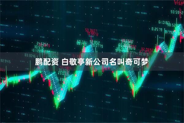 鹏配资 白敬亭新公司名叫奇可梦