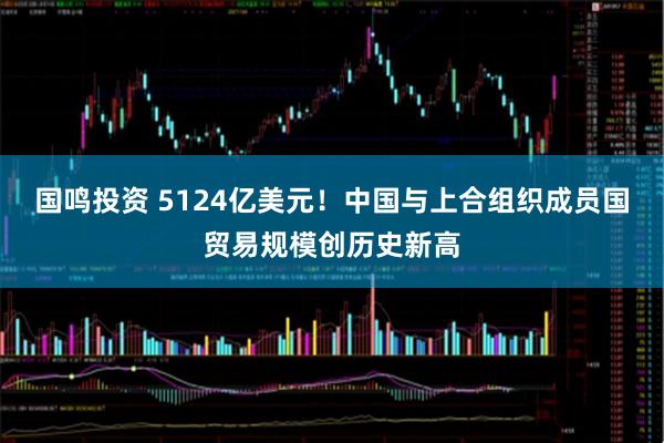 国鸣投资 5124亿美元！中国与上合组织成员国贸易规模创历史新高