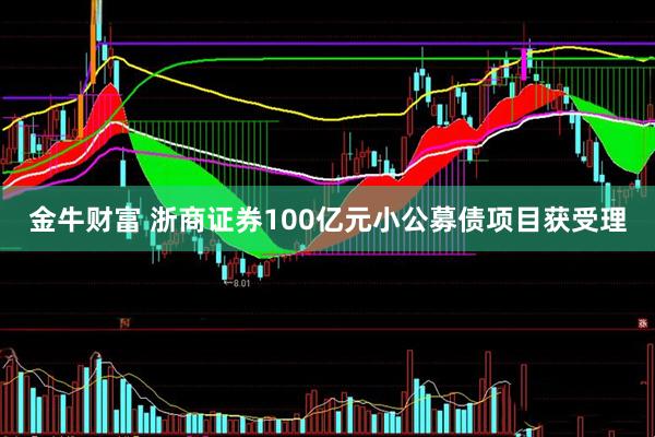 金牛财富 浙商证券100亿元小公募债项目获受理